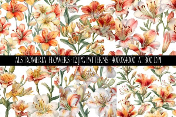 Alstromeria Flower Seamless Patterns